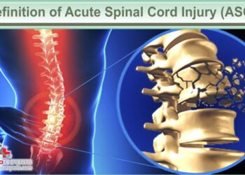 Acute Spinal Cord Injury Treatment: A Bridge to Recovery