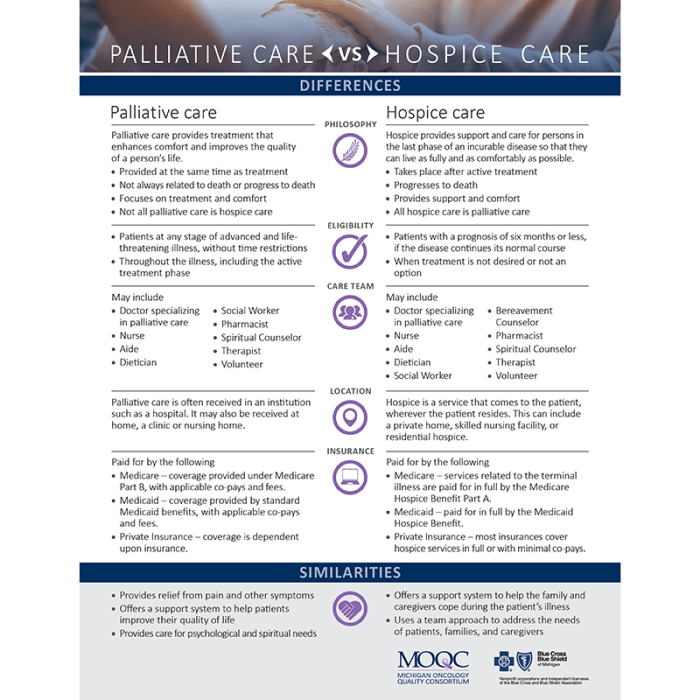 Palliative Care vs Hospice Care - Michigan Oncology Quality Consortium ...