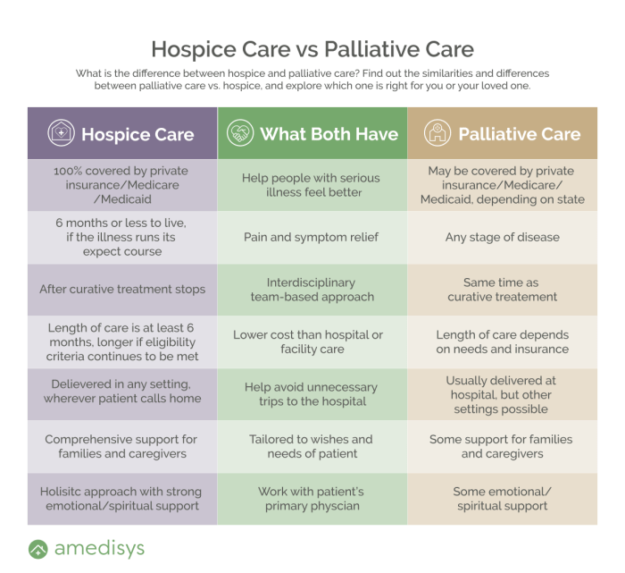 Palliative Care vs Hospice