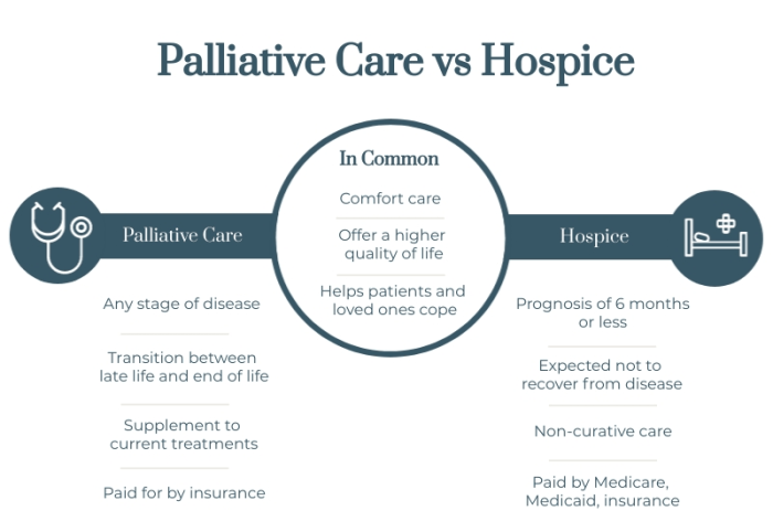 Palliative Care vs. Hospice: What is the Difference? | EverHeart Hospice